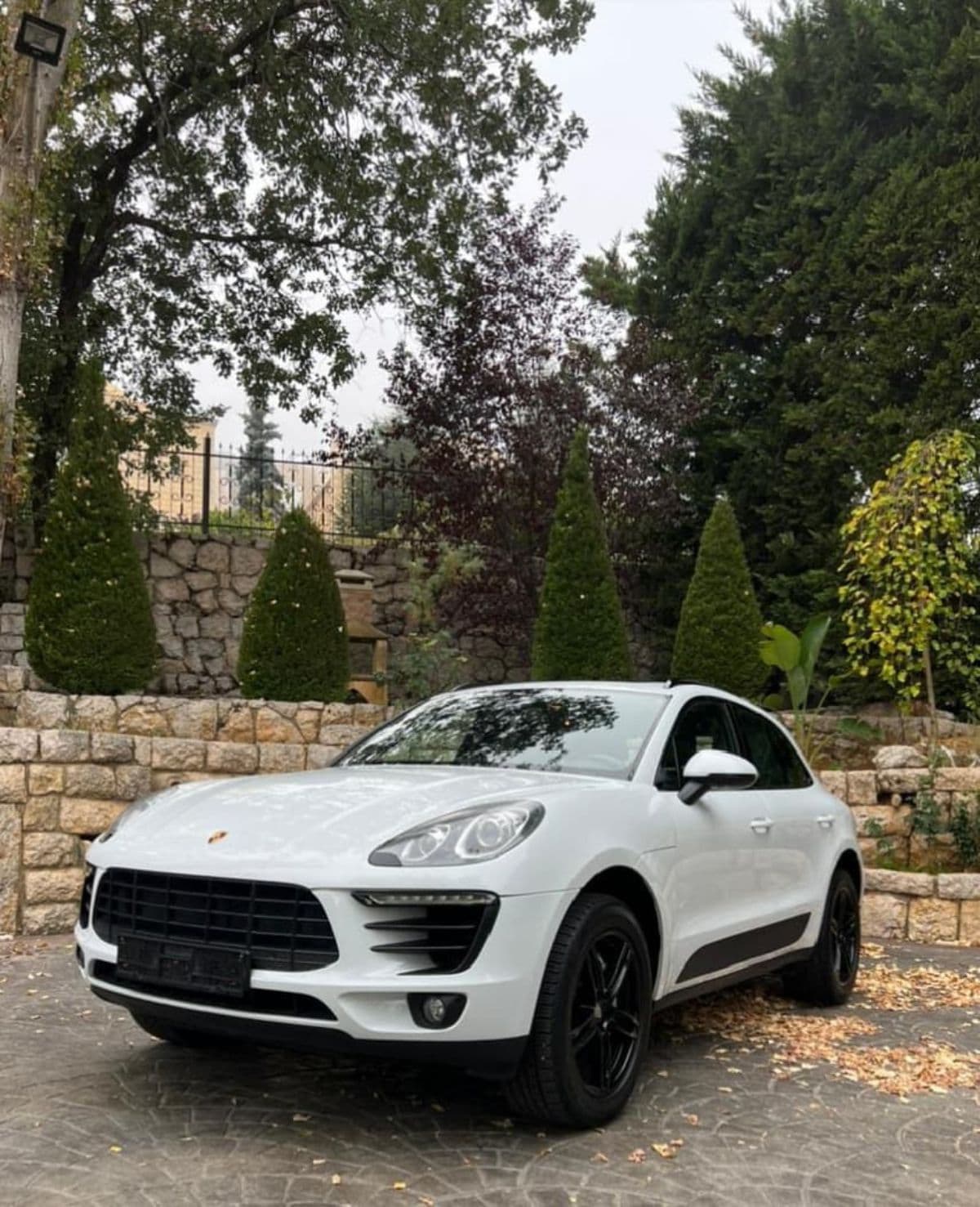 Porsche Macan S